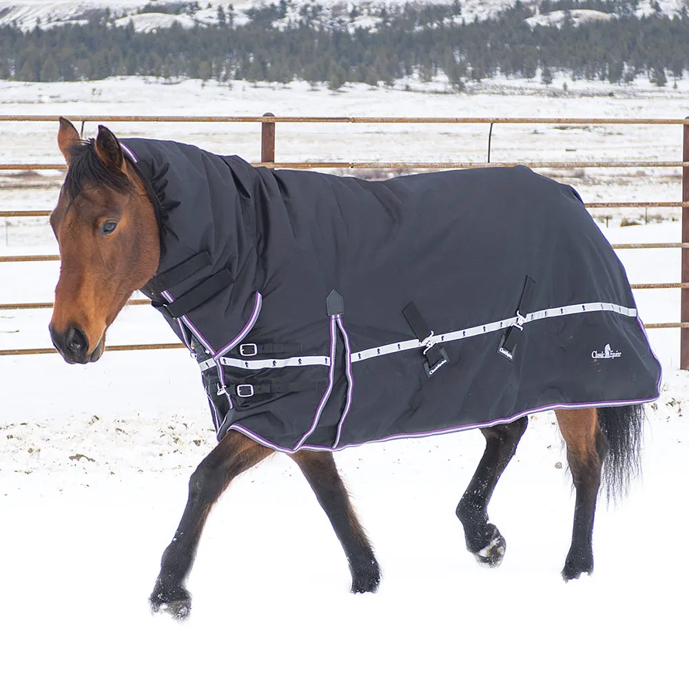 Windproof equestrian winter  turnout horse blanket with hood