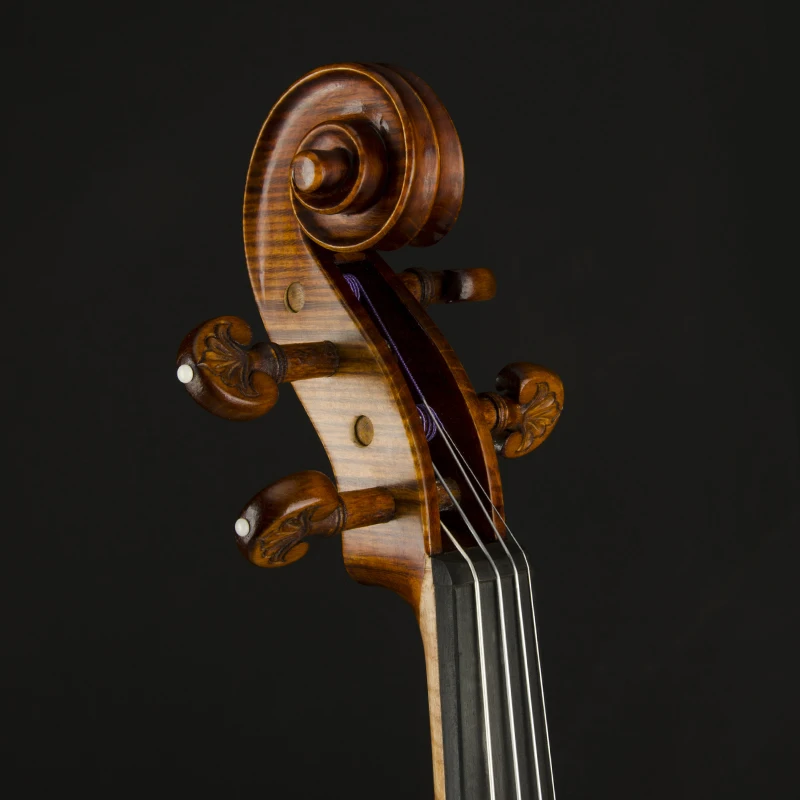 CHRISTINA EU5000C European Original Imported Professional Level Playing Class Student Violin With Gift String Bow