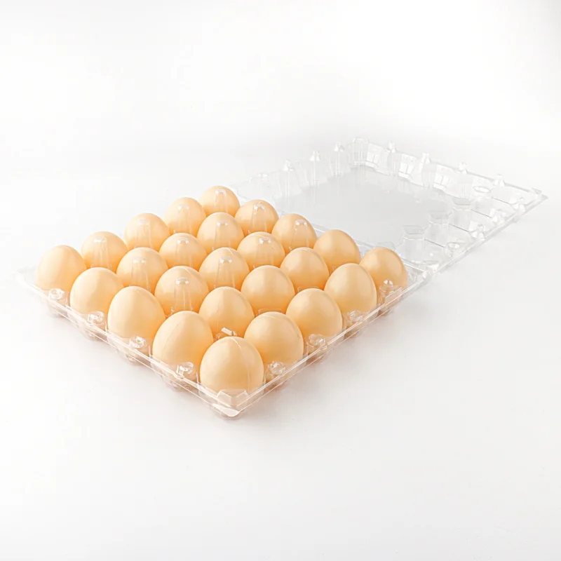 disposable pet egg trays with cover hot sale quail egg packaging tray/box/carton