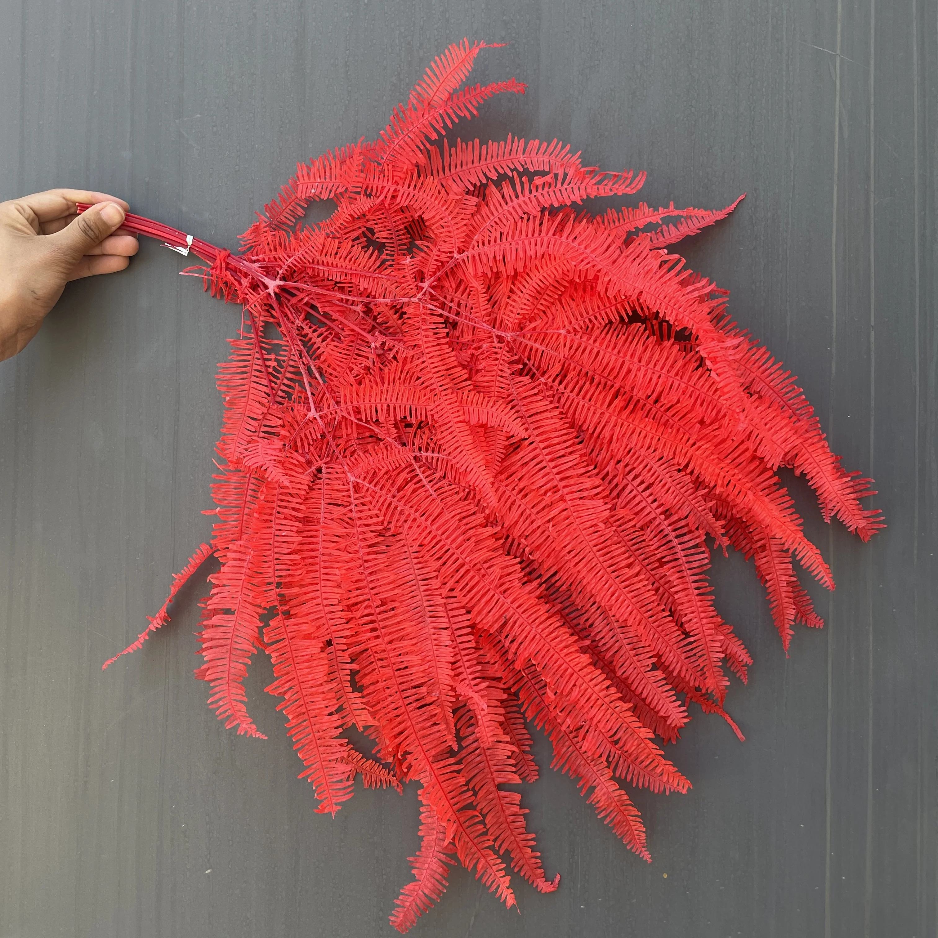 Wholesale Supply Preserved Colorful Leaves Preserved Spire Fern Leaves Fern For DIY Leaves