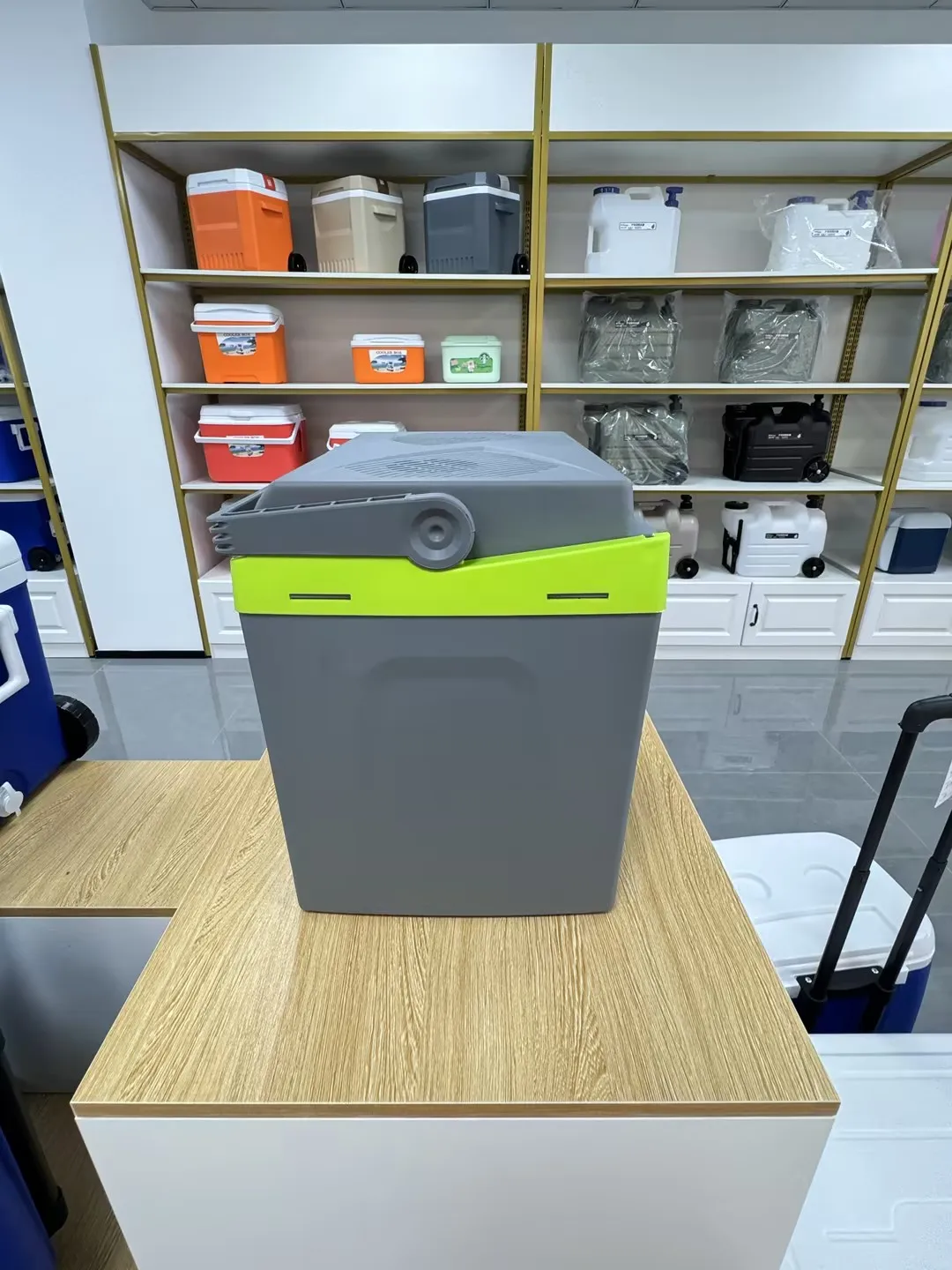 25L 12V DC 220V AC Mini Car Refrigerators Fridge Cooler Warmer For Camping