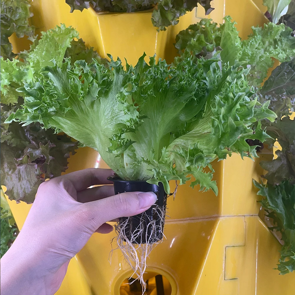 Smart Low Cost Greenhouse Aeroponic Vertical Tower Garden Hydroponic Grow Systems for Sale