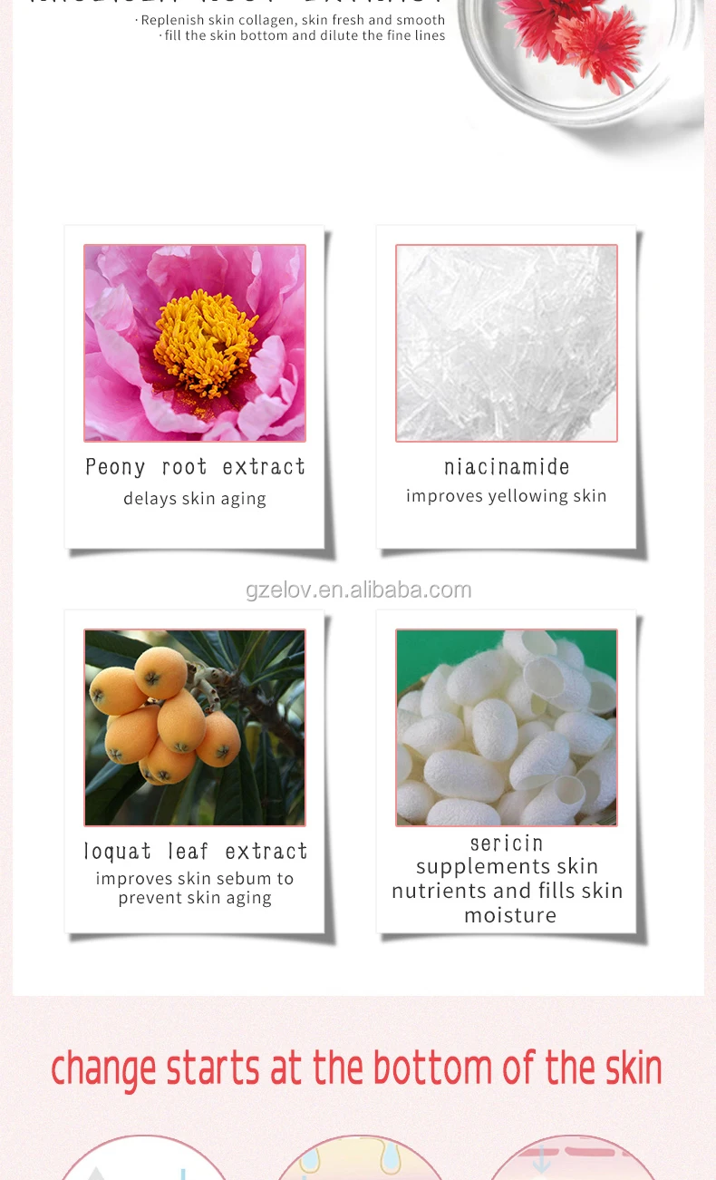 Customized Professional Manufacturer Beauty Cosmetics Face &Body Skin Whitening Cream