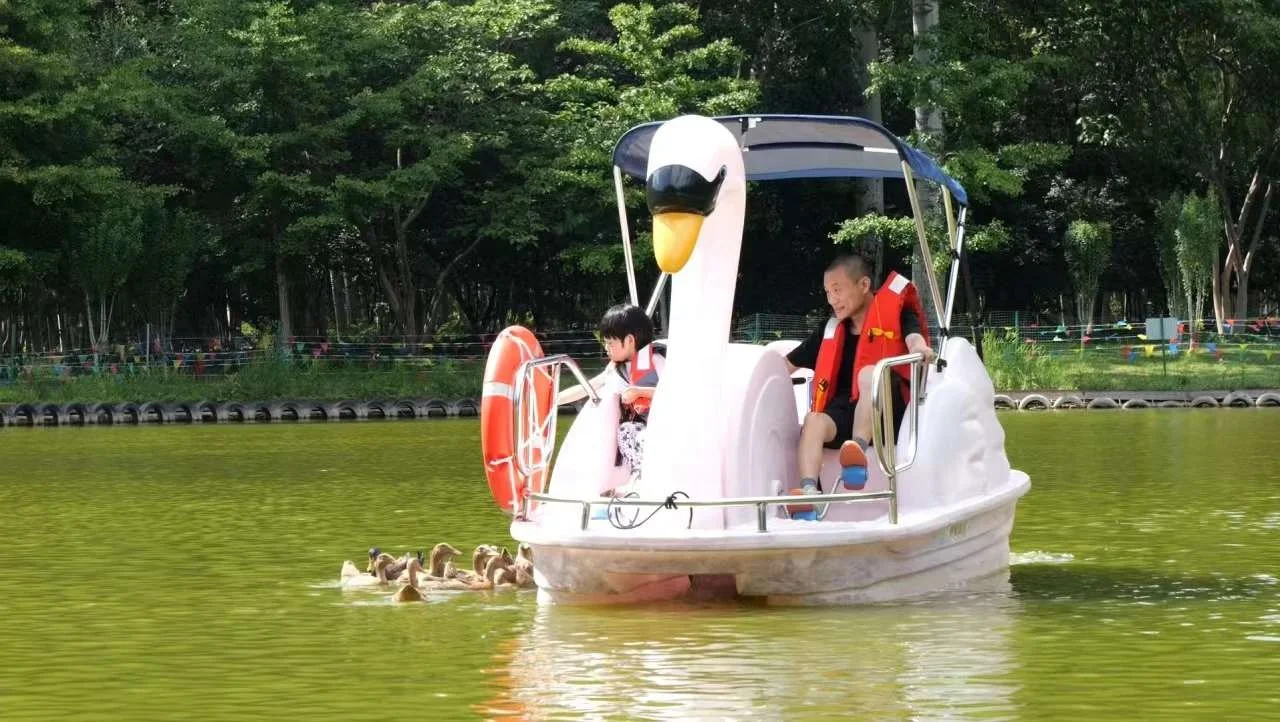 2 сиденья PE педаль Лебедь Фламинго лодка