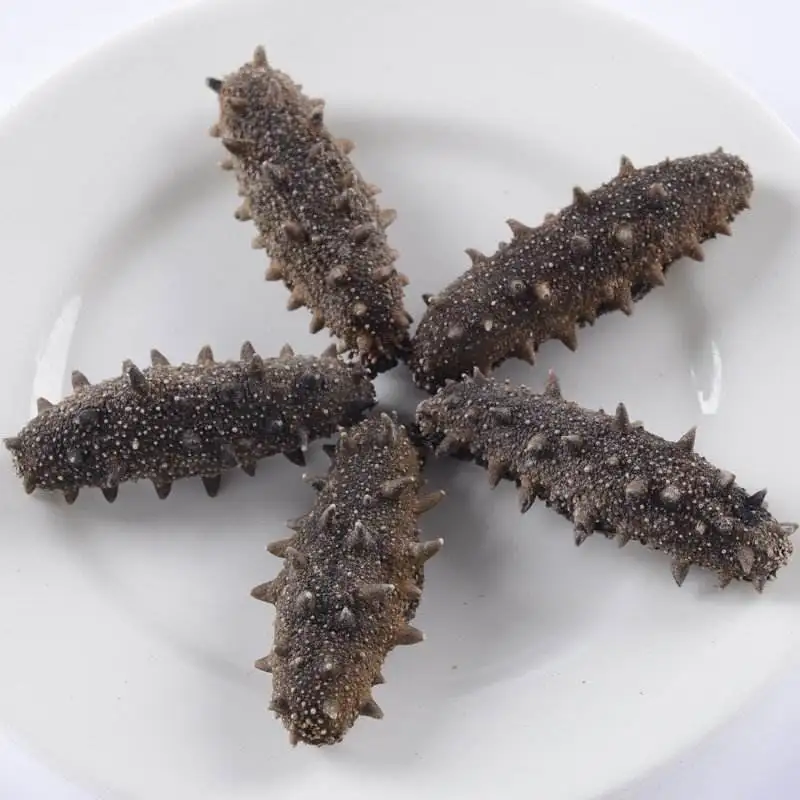 High Grade Wholesale Sea Cucumber Dried Sea Cucumber