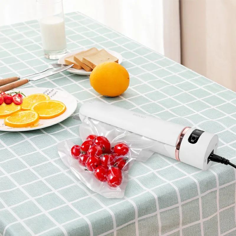 Hand Held 220V 110V Household Kitchen Food Packaging Machine Film Mini Size Vacuum Sealer Machine
