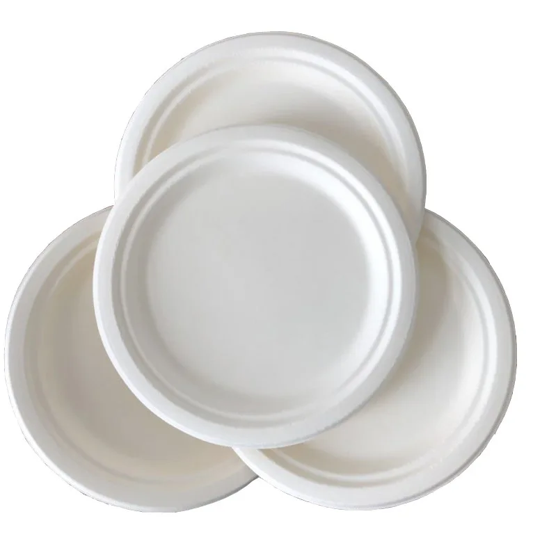 Compostable Bagasse Disposable Dishes Food Grade Sugarcane Party Disposable Dish Sugarcane Pulp 10 Inch Dish