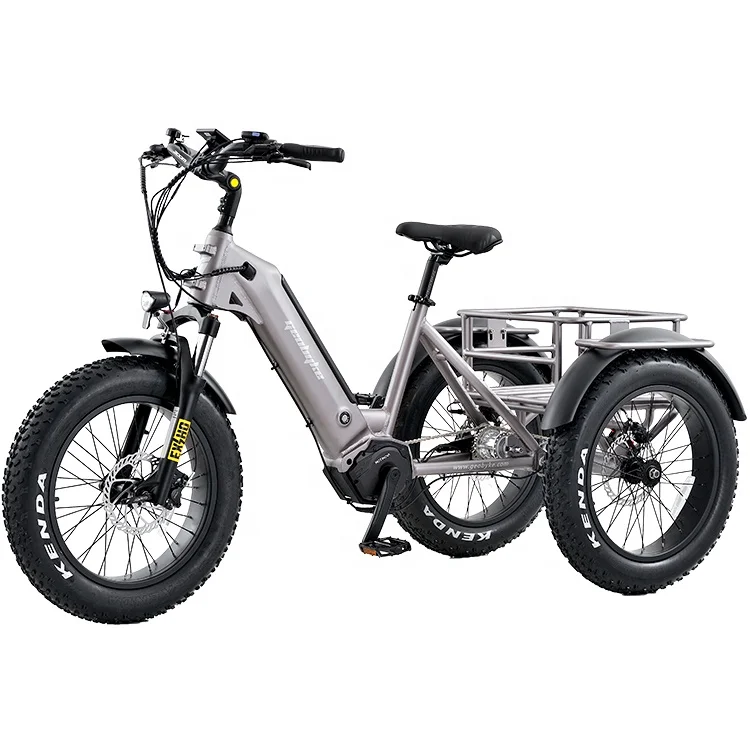 Factory direct sale 48V 500W rear motor electric tricycle fat tire 3 wheel electric tricycle