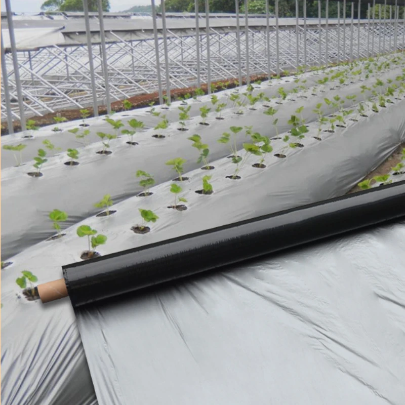 Low price sale of high quality herbicidal agricultural mulch film black silver reflective biodegradable mulch film