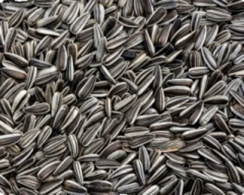 Семена подсолнечника