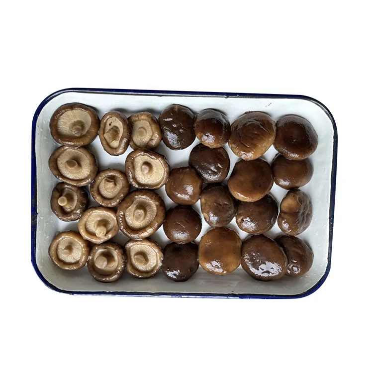
In Drum 50kgs High Grade Quality Brine mushroom preserved shiitake mushroom whole 