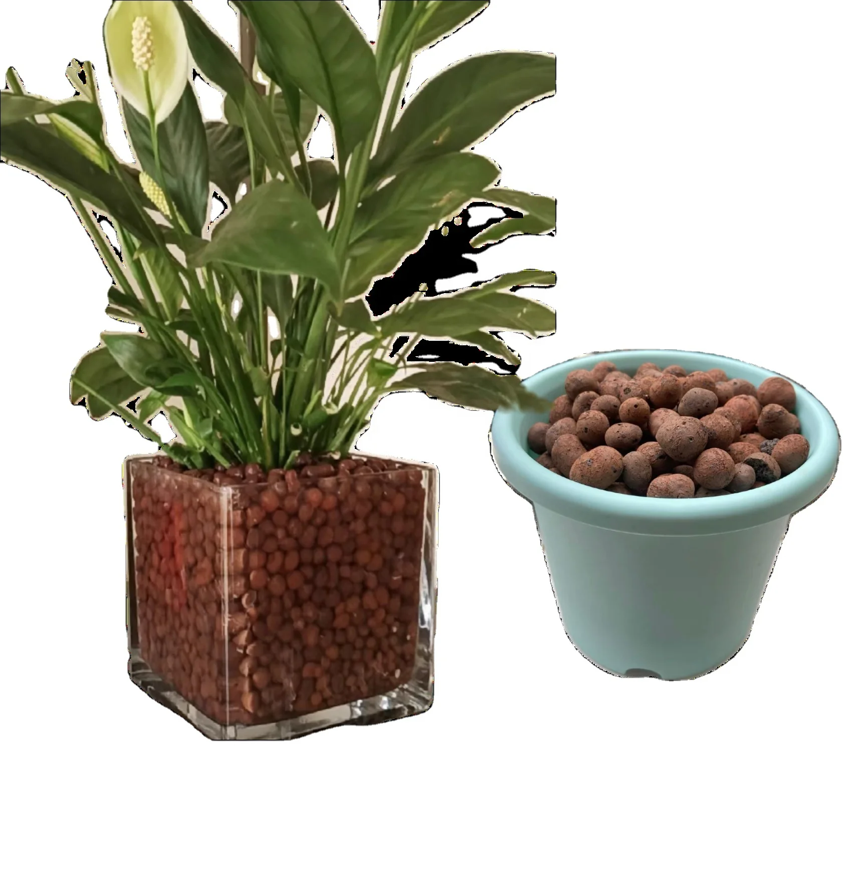 Clay Pebbles Grow Media Expanded Rocks Hydroponic Aquaponic