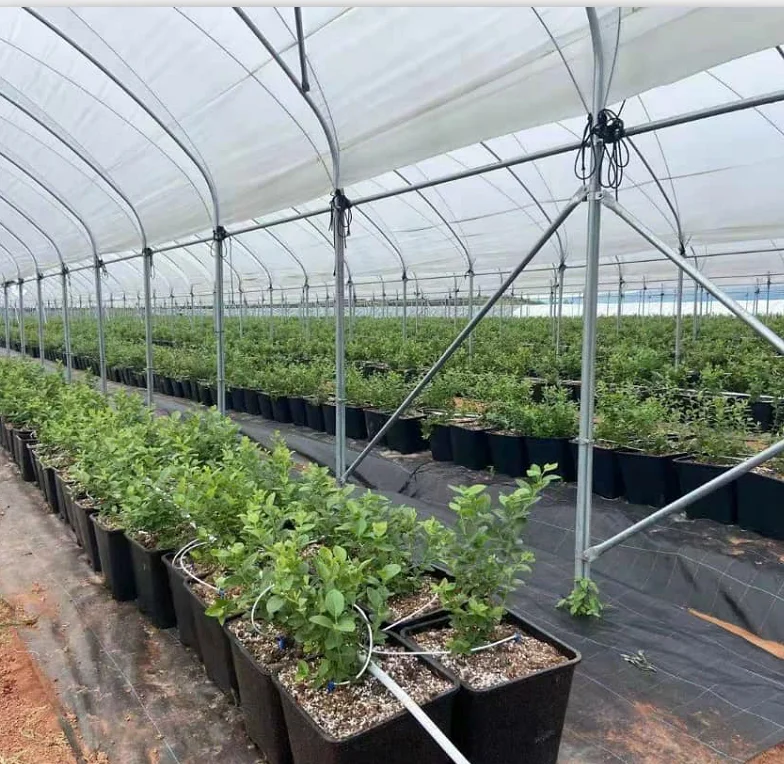 25L 30L 40L Substrate Blueberry Bucket Plastic Square Grow Pot For Plants