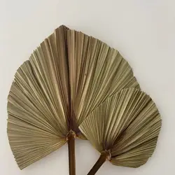 Palm Leaf Decorative Flowers  Natural Dried Palm Leaves for Wedding Home Decor