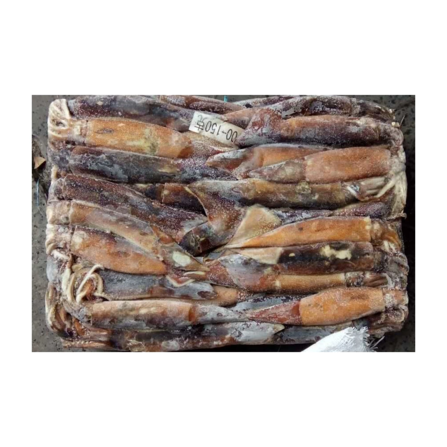 Whole Round Squid Export Frozen Illex Squid SANFENG SEAFOOD BQF Argentina Squid Wholesale