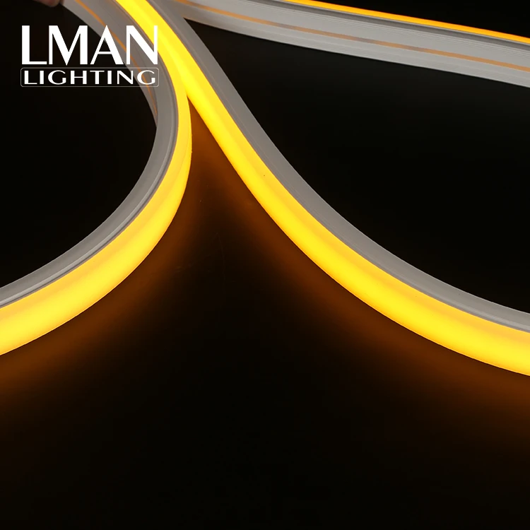 Garden Christmas Festive Decoration Ip65 20*14mm 120led/m Smd 2835 Dc 12v 24v 8w Led Neon Light