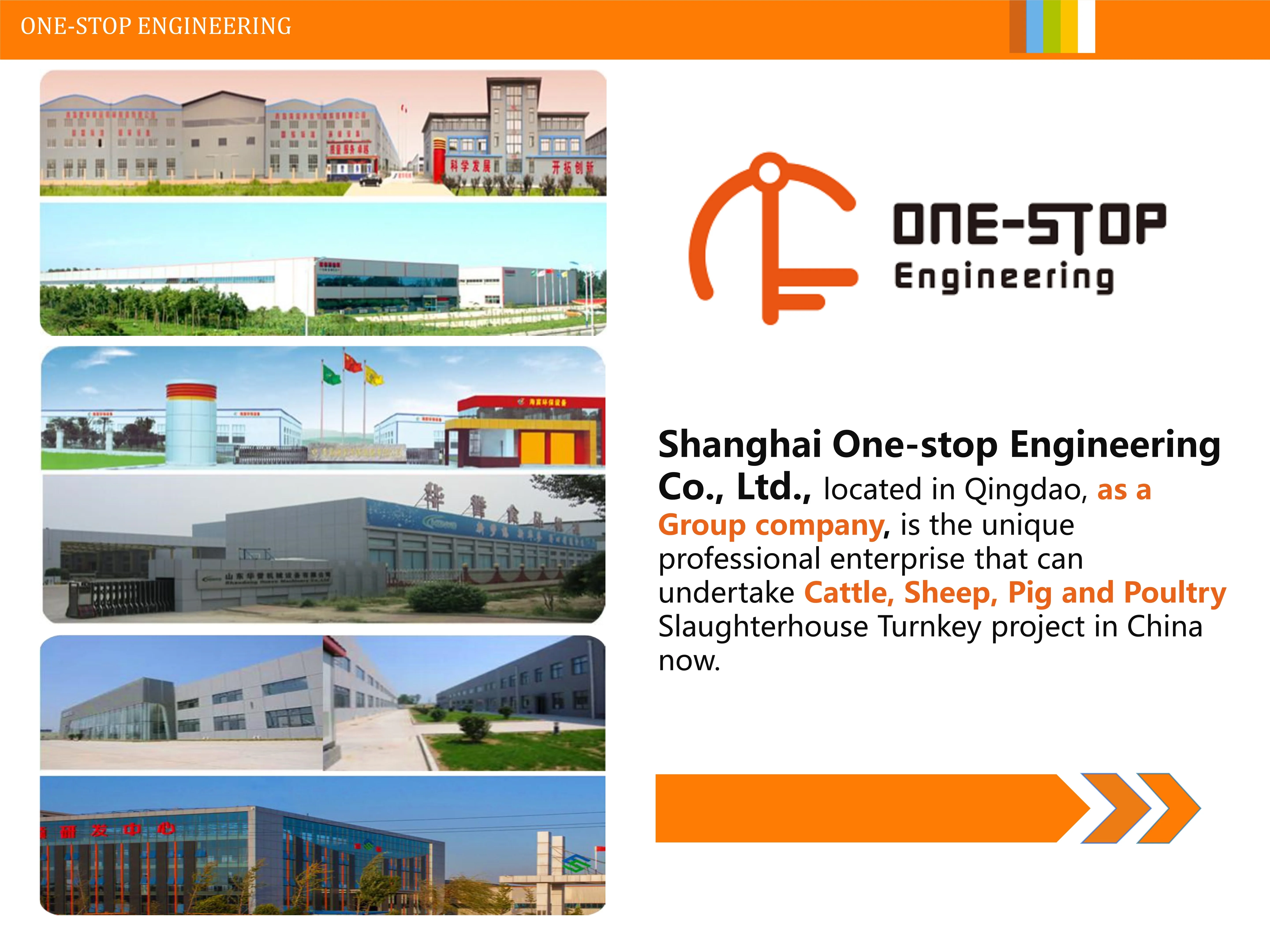 v_type_sheep_slaughtering_halal_ritual_killing_box_for_goat_abattoir