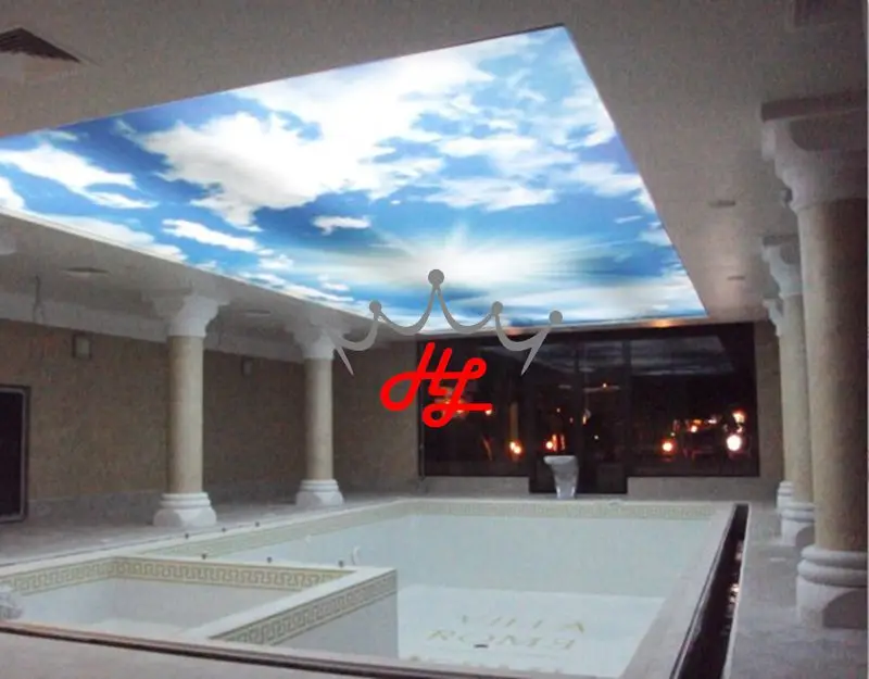 Russia Market Innovative Product MSD 303 PVC Stretch Ceiling Film