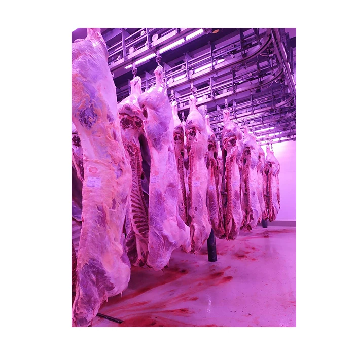 High Quality Natural Beef Meat Frozen Cow Carcass( Frame) In Vacuum Pack Beef Meat