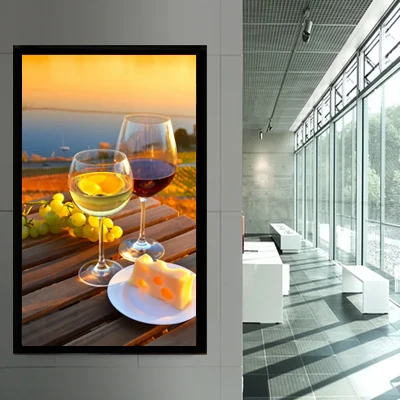Wall-Mount Lcd Panel Totem 55 Inch Window Facing Display Lcd Hanging Advertising Lcd Digital Signage Display