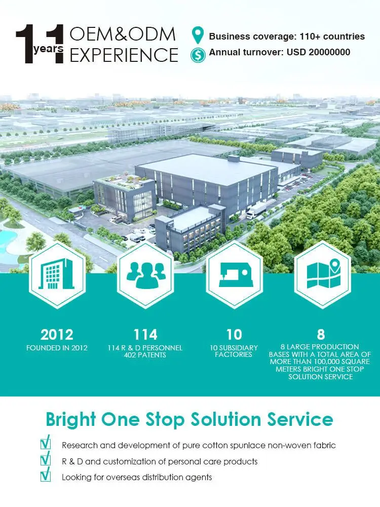 Custom Wholesale 99.9% Disinfecting Wet Wipes Dresswet Canisters Wipes Supplier