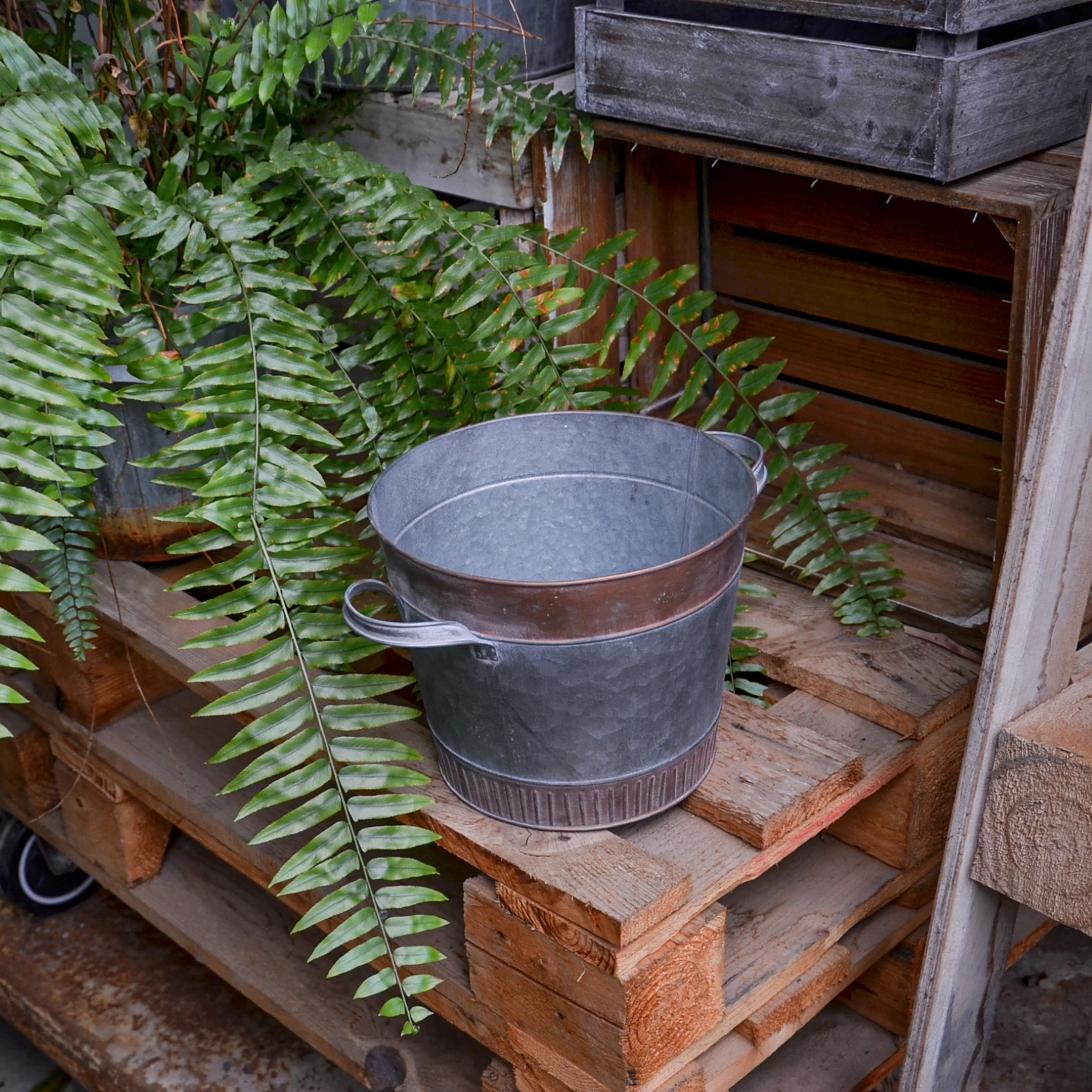 American retro metal with handle indoor flower bucket large plant pots bonsai pots for home and garden container  giftpacking