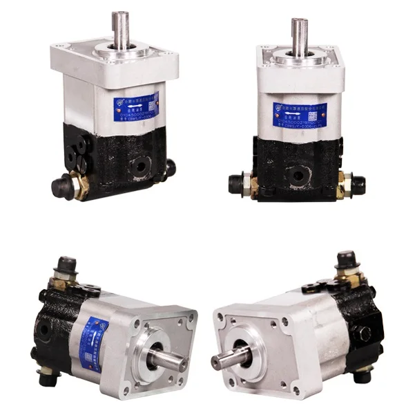 CBWS/F-D3 CBWSF-D304 CBWSF-D306 CBWSF-D308 CBWSF-D310 композитный двухнаправленный шестеренчатый масляный насос
