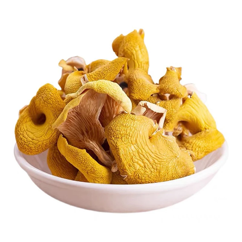 High Quality Chanterelle Mushrooms