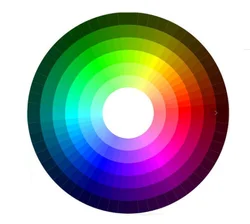 Low price biodegradable bagasse pulp food insert protective packaging manufacturer