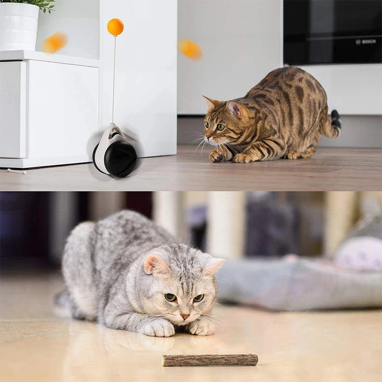 Kitten Interactive Balance Car Tumbler Swing Cats Toys Chasing Toy With Catnip Funny Pet Self Play Products No Power Drive