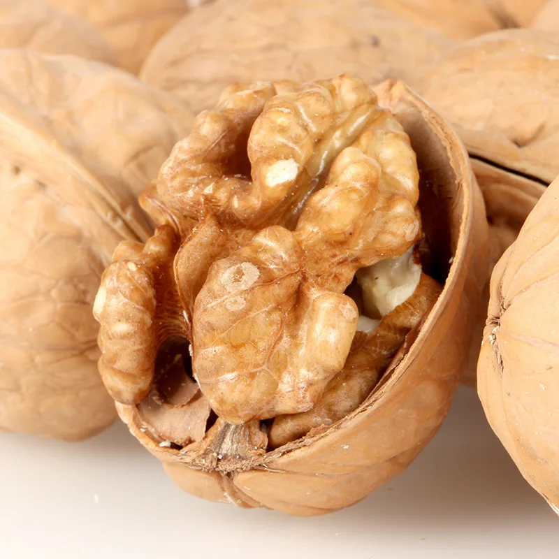  AGOLYN Top Grade Thin Skin Raw Walnuts with Shell Packaging Food Organic Feature Origin Type