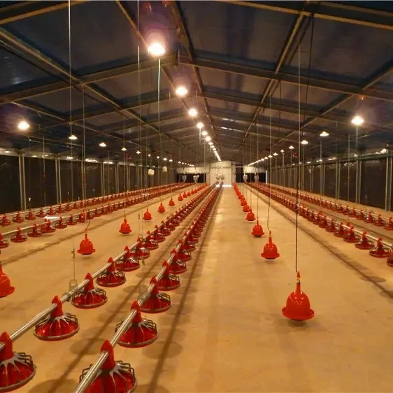 Low Cost Chicken House Light Prefab Steel Structure Agricultural Chicken Poultry/Cow Farm House Design