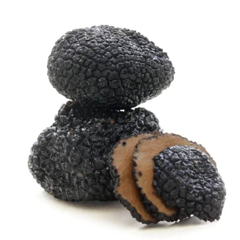 High quality pure natural black truffle extract black pine dew powder