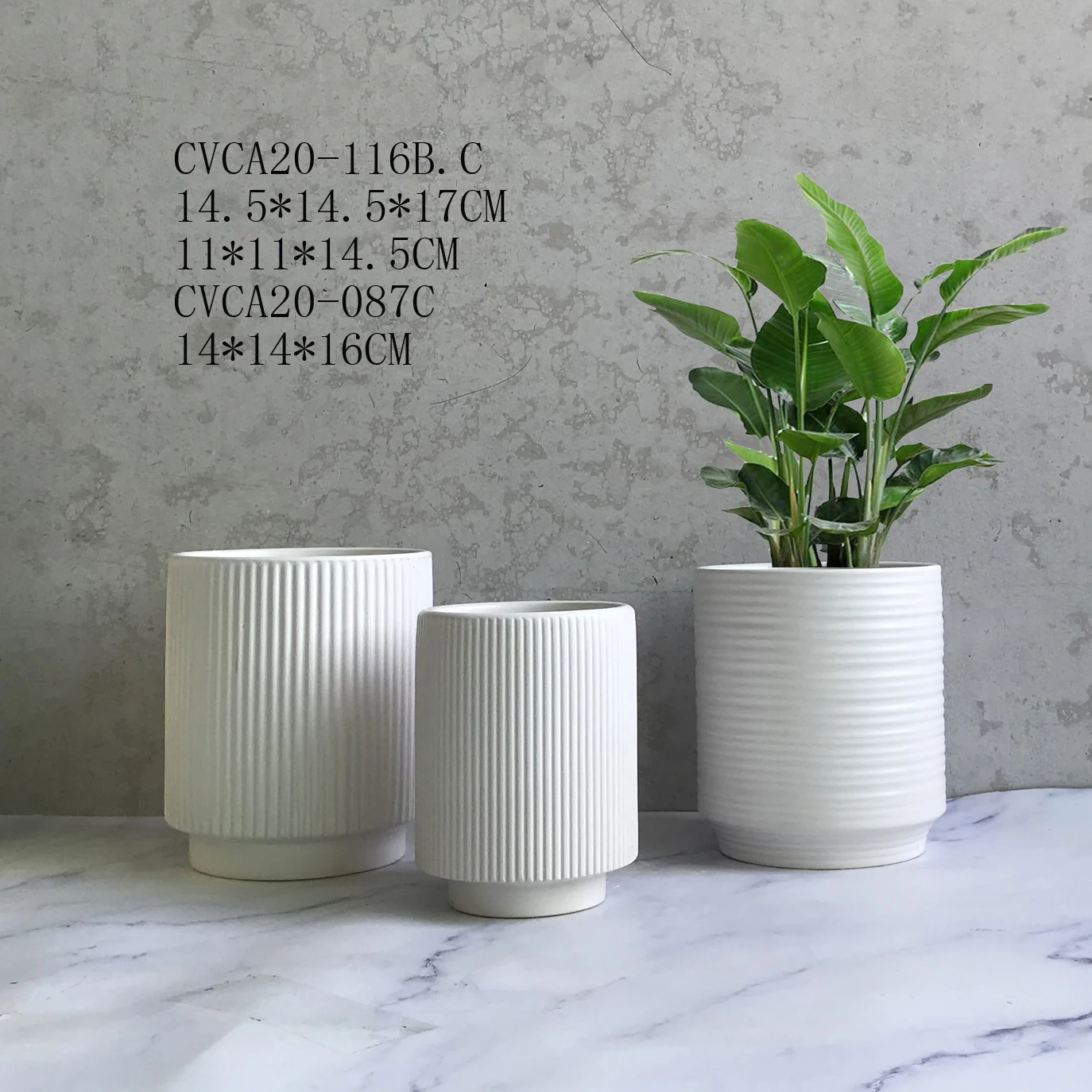 Горшки для растений домашние украшения балкона горшки суккулентов черные белые керамические цветочные с тиснением под заказ сада