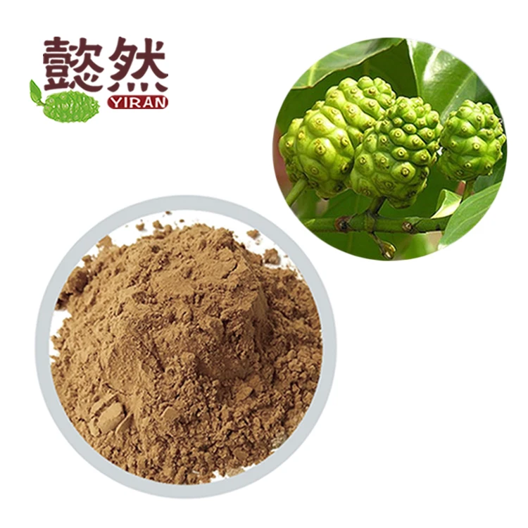 Good Manufacturer Noni Fruit Powder Morinda Citrifolia Extract with Competitive Price