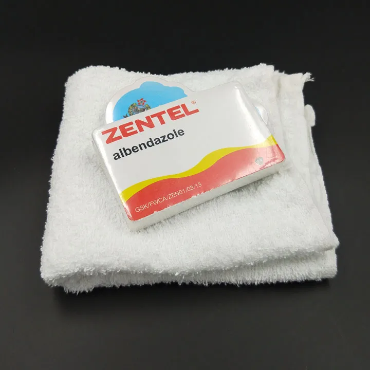 Promotional 100% cotton mini compact compressed hand towel