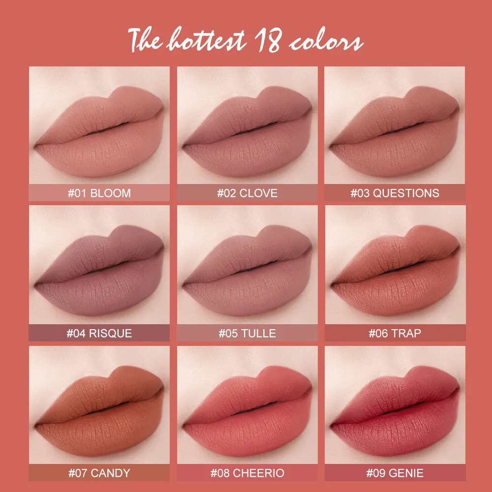 New Arrival Private Label Cosmetics 18 Colors Matte Lip Gloss