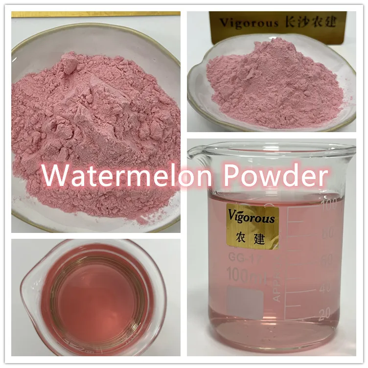 Factory Supply High Quality Free Sample Pure Watermelon Juice Powder Citrullus Lanatus Extract Watermelon