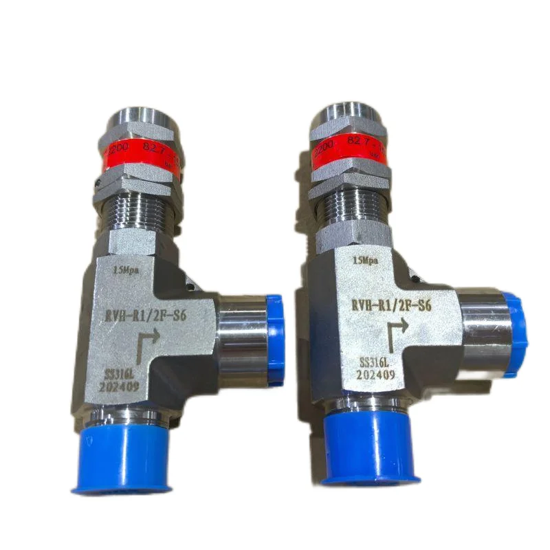Air Regulator Spray Gun Smc Gas Digital Natural Denso Fuel Lpg Cooking1/4 Air oxygen safety valve safety relief valves  304