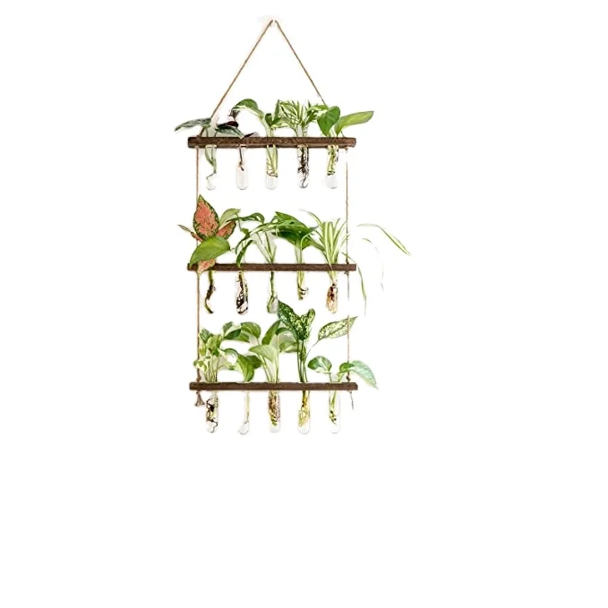 3 Tiered Wall Hanging Plant Terrarium with Wooden Stand Mini Test Tube Flower Vase Glass Planter Plant Propagation Tubes