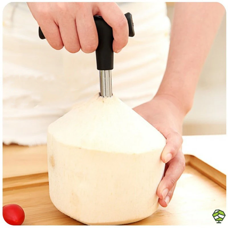  Home Fruit Pitting Tool To Open Coconut Artifact Shell Breaker Hole Nut Punch Drilling Kitchen