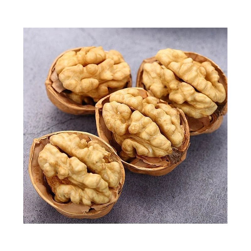 Factory Wholesale Chinese Healthy Walnuts In Shell Top Grade 185 Natural Organic Walnuts