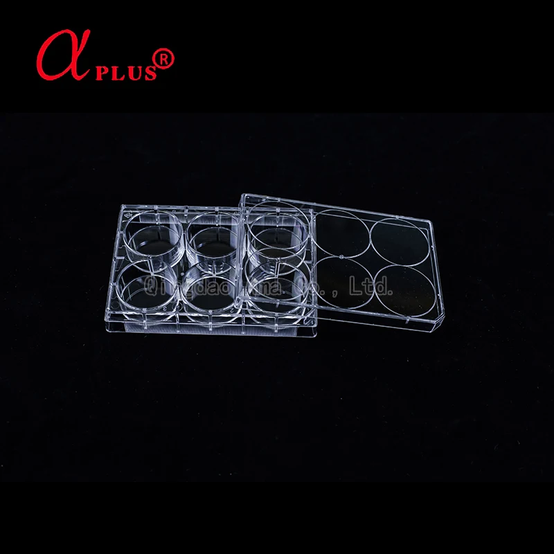Medical lab plastic disposable sterile 6 wells cell culture plate