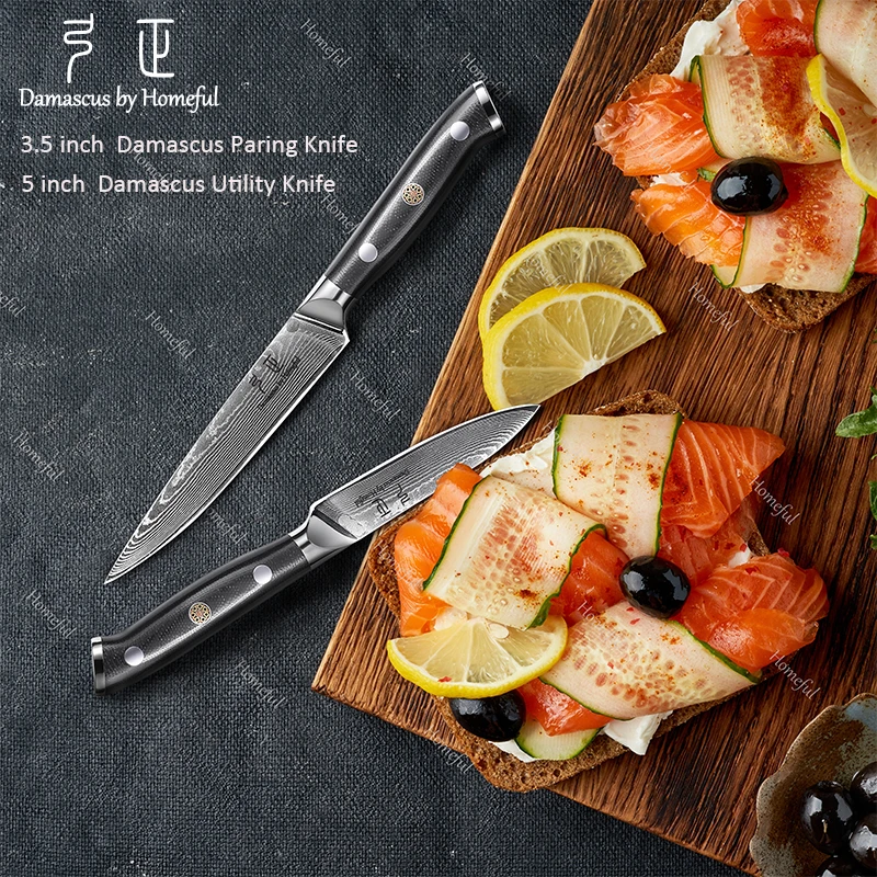 Premium Knife Set Damascus steel chef Knife AG10 Steel Core 67 Layers Kitchen Knife Set