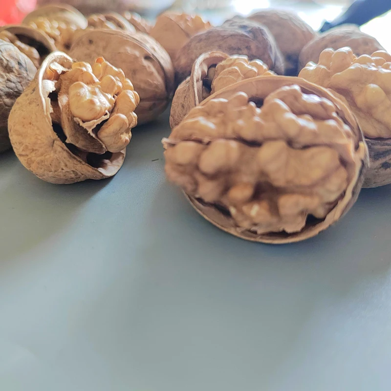 China Factory Supply Quality 185 Walnuts For Export