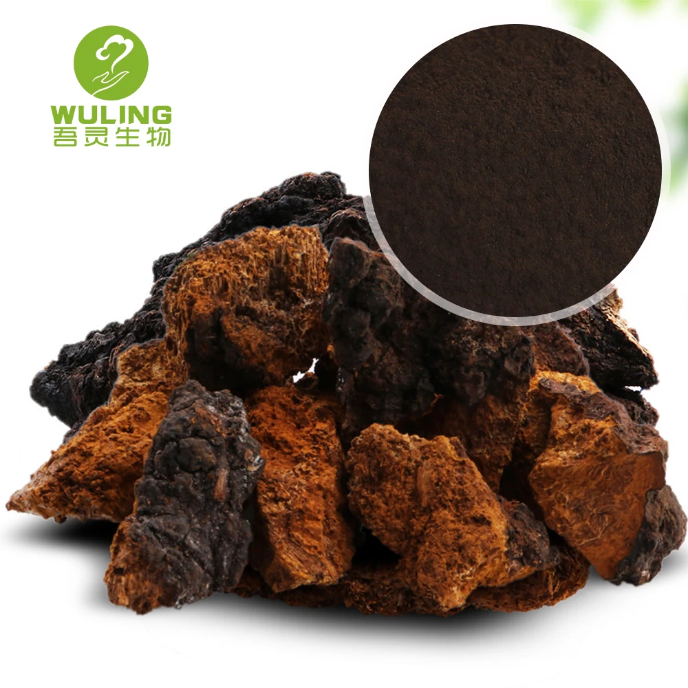 Порошок экстракта грибов Чаги от производителя
