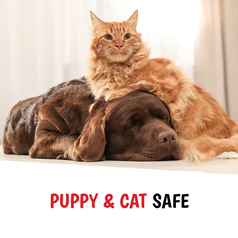 Спрей для дезодорации собак