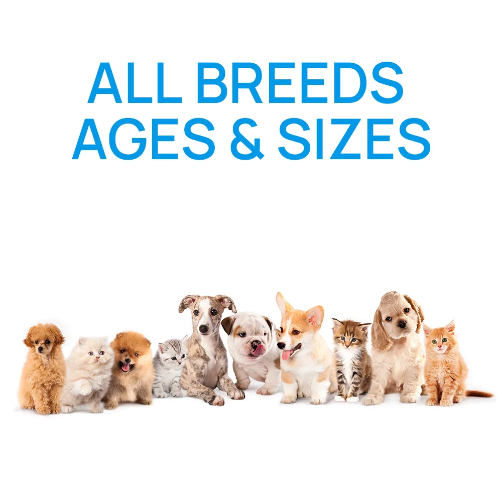 Allergy Support Chews for Pets Turkey and Tuna Flavored Supplement Powders in Bottles Customizable for Cats Fish Health Care