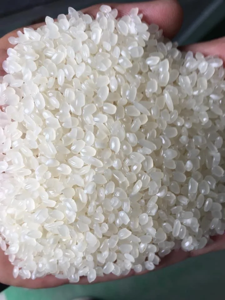 Best Selling Vietnam Japonica Rice Quality White Crop Long Style Kind Color Origin Type Texture