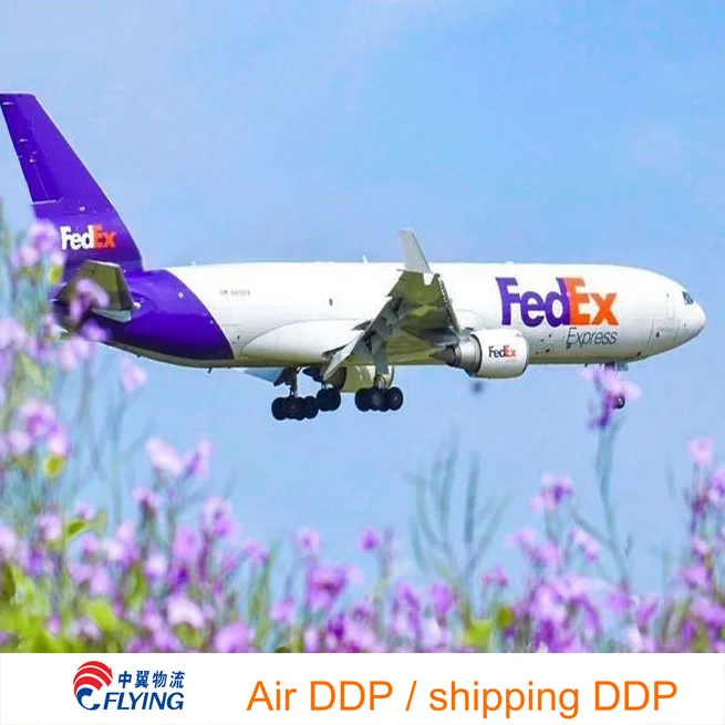 China Freight Forwarder Express UPS DHL air cargo  from China to Haiti  and and other global Sea freight
